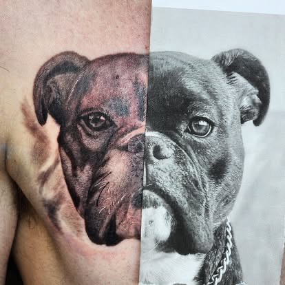 Black and grey realism boxer dog portrait tattoo next to its reference photo