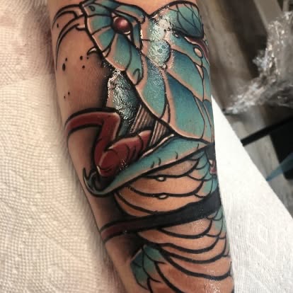 Neo-traditional color moth and snake tattoo on the forearm, Central Wisconsin